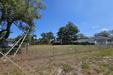 Land in Tampa, Florida № 1769263 - photo 3