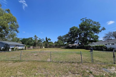 Land in Tampa, Florida № 1769263 - photo 2