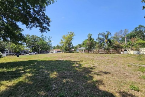 Land in Tampa, Florida № 1769263 - photo 4