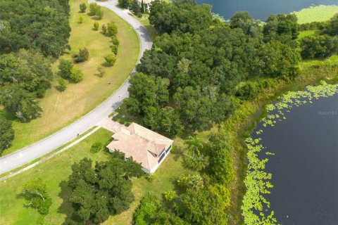 Land in DeLand, Florida № 2384194 - photo 10