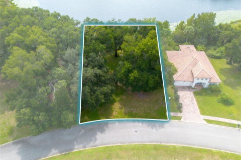 Land in DeLand, Florida № 2384194 - photo 3