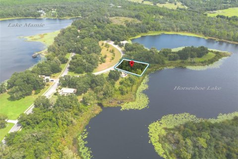 Land in DeLand, Florida № 2384194 - photo 25