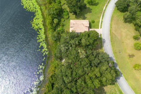 Land in DeLand, Florida № 2384194 - photo 15