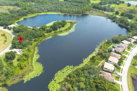 Land in DeLand, Florida № 2384194 - photo 20