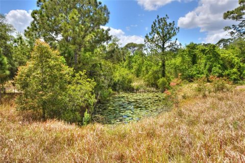 House in Lake Wales, Florida 1 bedroom, 59.46 sq.m. № 2207120 - photo 29