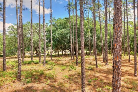 House in Lake Wales, Florida 1 bedroom, 59.46 sq.m. № 2207120 - photo 30