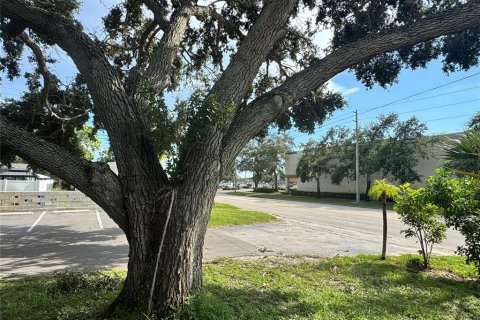 Commercial property in Saint Petersburg, Florida 1224.73 sq.m. № 1854268 - photo 18