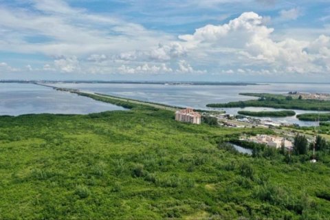 Купить земельный участок в Сент-Питерсберг, Флорида № 2157722 - фото 2
