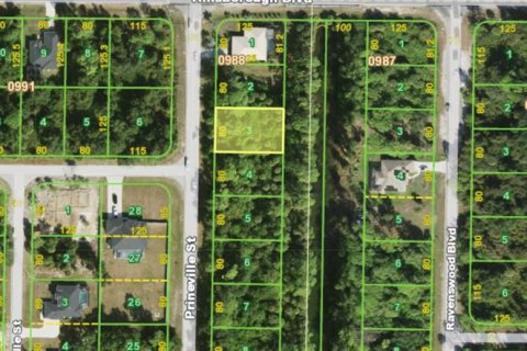 Land in Port Charlotte, Florida № 2403644 - photo 2