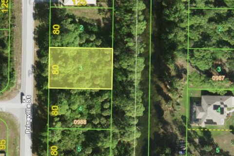 Land in Port Charlotte, Florida № 2403644