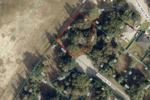 Land in Ocala, Florida № 2160635 - photo 2
