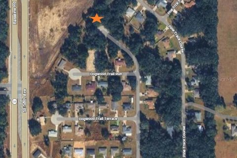 Land in Ocala, Florida № 2160635 - photo 3