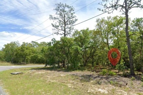 Land in Citrus Springs, Florida № 2160403 - photo 3