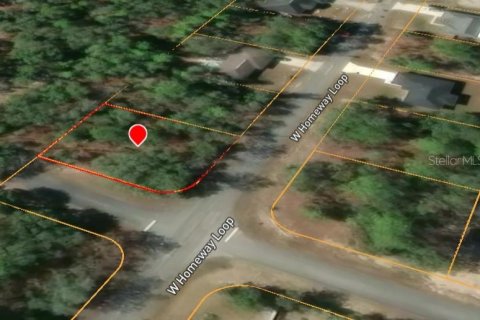 Land in Citrus Springs, Florida № 2160403 - photo 2