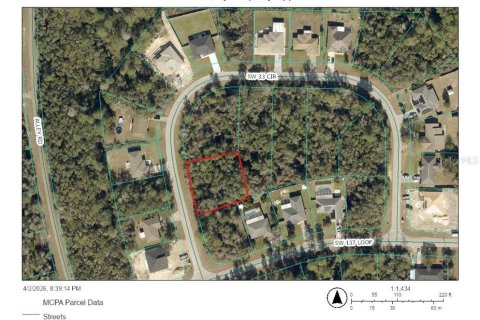 Land in Ocala, Florida № 2165598 - photo 2