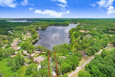 House in Odessa, Florida 3 bedrooms, 195.65 sq.m. № 1801550 - photo 8