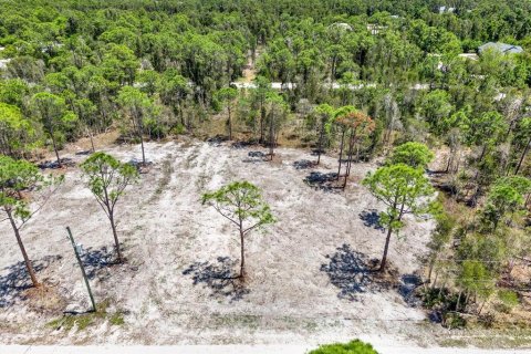 Land in Punta Gorda, Florida № 2164754 - photo 8