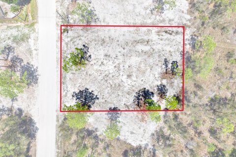 Land in Punta Gorda, Florida № 2164754 - photo 14