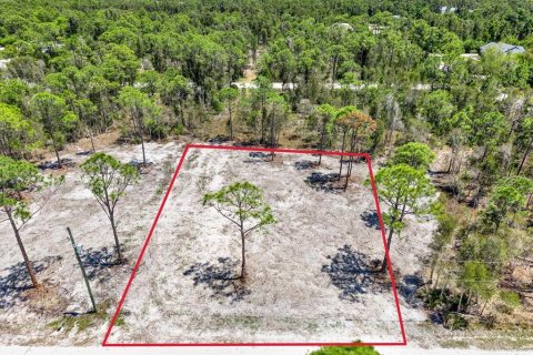 Land in Punta Gorda, Florida № 2164754 - photo 9