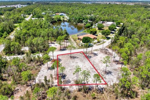 Land in Punta Gorda, Florida № 2164754