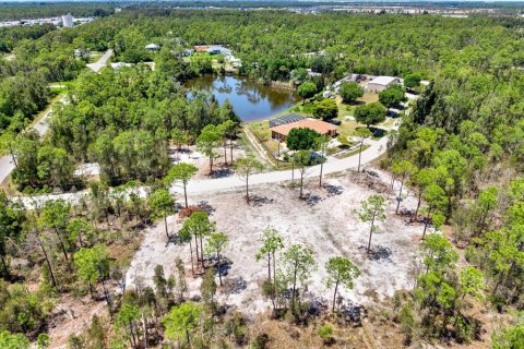 Land in Punta Gorda, Florida № 2164754 - photo 2