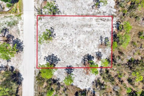Land in Punta Gorda, Florida № 2164754 - photo 13