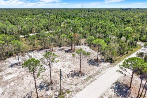 Land in Punta Gorda, Florida № 2164754 - photo 6