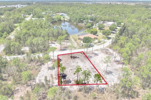 Land in Punta Gorda, Florida № 2164754 - photo 11