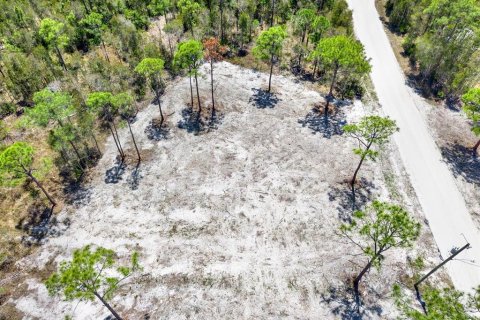 Land in Punta Gorda, Florida № 2164754 - photo 5