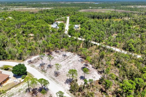 Land in Punta Gorda, Florida № 2164754 - photo 7