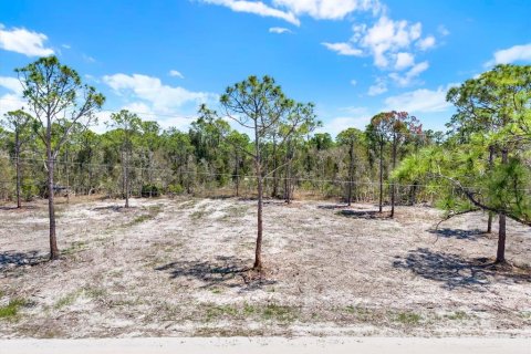 Land in Punta Gorda, Florida № 2164754 - photo 4