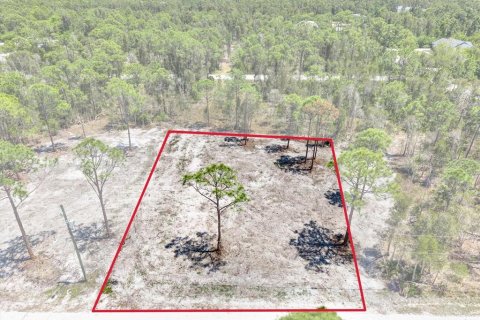 Land in Punta Gorda, Florida № 2164754 - photo 10