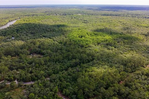 Land in Fanning Springs, Florida № 2102664 - photo 6