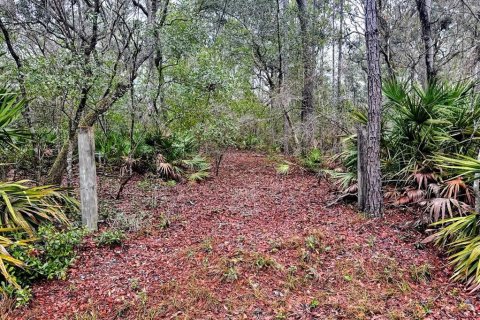 Land in Fanning Springs, Florida № 2102664 - photo 21