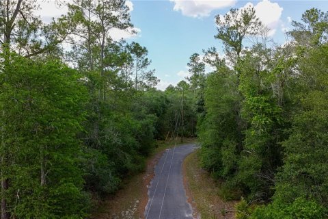 Land in Fanning Springs, Florida № 2102664 - photo 8