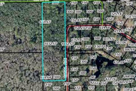 Land in Fanning Springs, Florida № 2102664 - photo 10