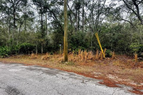 Land in Fanning Springs, Florida № 2102664 - photo 13