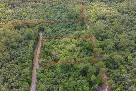Land in Fanning Springs, Florida № 2102664 - photo 7