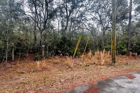 Land in Fanning Springs, Florida № 2102664 - photo 15