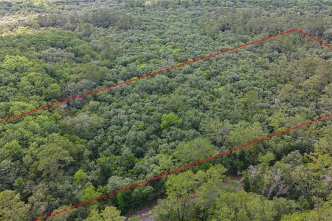 Land in Fanning Springs, Florida № 2102664 - photo 11
