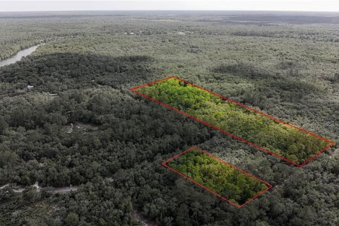 Land in Fanning Springs, Florida № 2102664 - photo 3