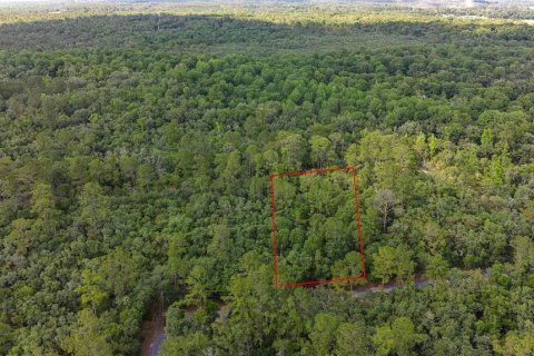 Land in Fanning Springs, Florida № 2102664 - photo 19