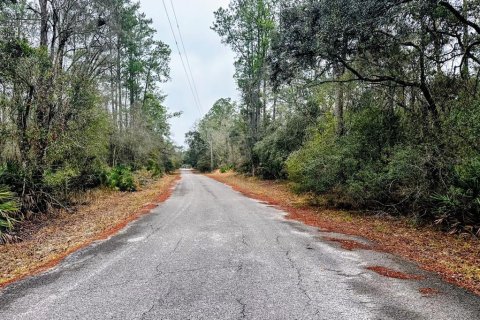 Land in Fanning Springs, Florida № 2102664 - photo 22