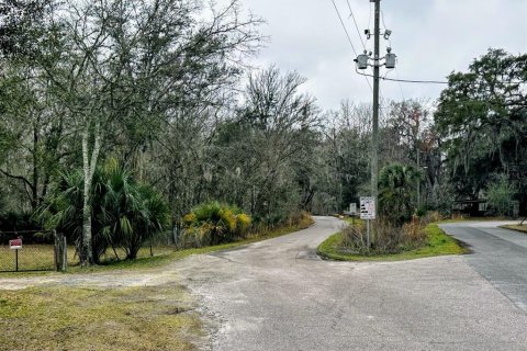 Land in Fanning Springs, Florida № 2102664 - photo 24