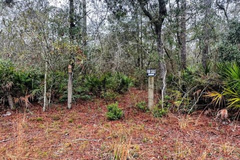 Land in Fanning Springs, Florida № 2102664 - photo 12