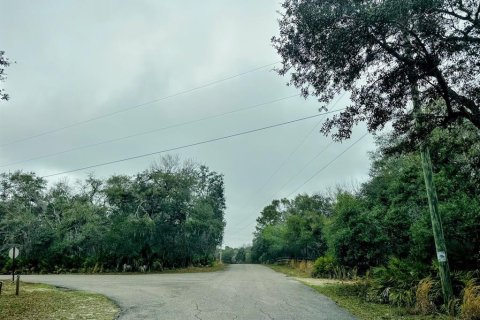 Land in Fanning Springs, Florida № 2102664 - photo 30