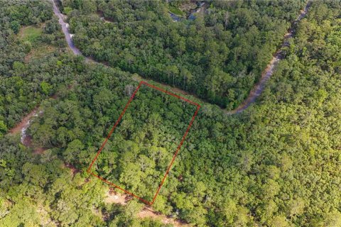 Land in Fanning Springs, Florida № 2102664 - photo 20