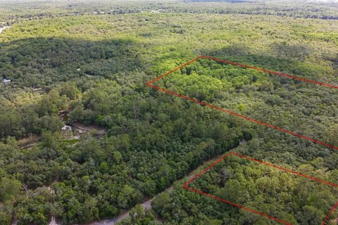 Land in Fanning Springs, Florida № 2102664 - photo 5