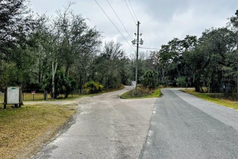 Land in Fanning Springs, Florida № 2102664 - photo 23