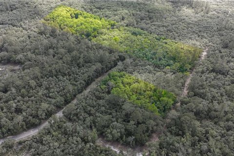Land in Fanning Springs, Florida № 2102664 - photo 4